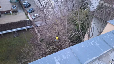 Rescue Mission at the Tree